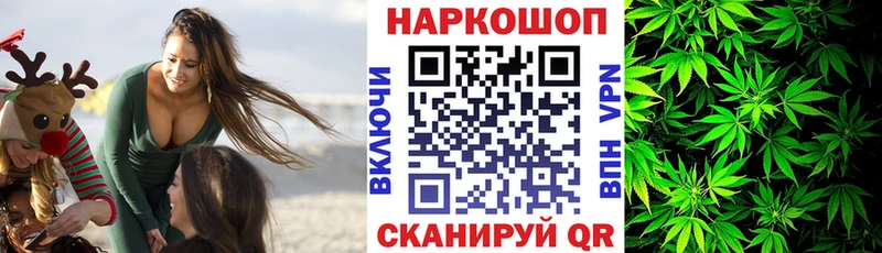 Где купить Кологрив АМФ  A PVP  Меф  Бошки Шишки 