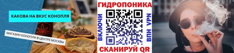 KRAKEN ONION  Кологрив  Canna-Cookies марихуана 