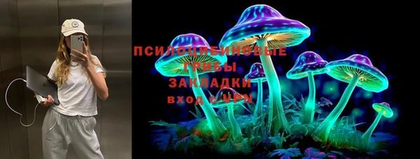дживик Беломорск