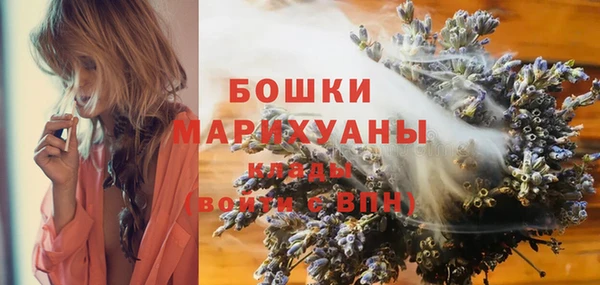 дживик Беломорск